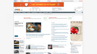 chelfin.ru